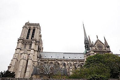 TGA 2023：《黄金偶像的崛起》预告公布